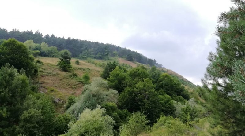 Дезинформација е дека депонијата во Крушево гори