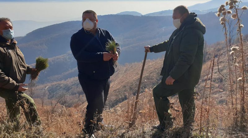 Градоначалникот дел од акција за пошумување