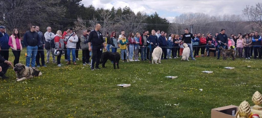 Специјална смотра на шарпланинци и коњи
