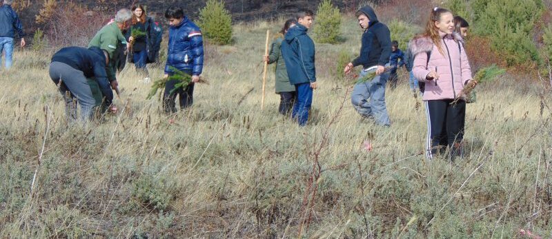 Успешно спроведена акцијата за пошумување, испратени пораки за заштита на животната средина